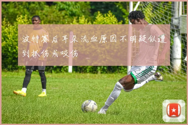 波特赛后耳朵流血原因不明疑似遭到抓伤或咬伤