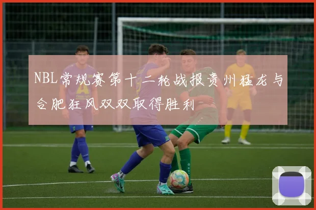 NBL常规赛第十二轮战报贵州猛龙与合肥狂风双双取得胜利