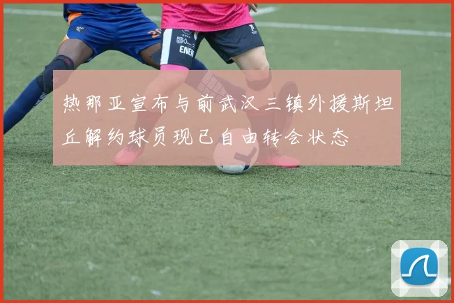 热那亚宣布与前武汉三镇外援斯坦丘解约球员现已自由转会状态