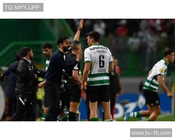 马竞瞄准狼队后腰若昂戈麦斯计划替代加拉格尔加强中场实力